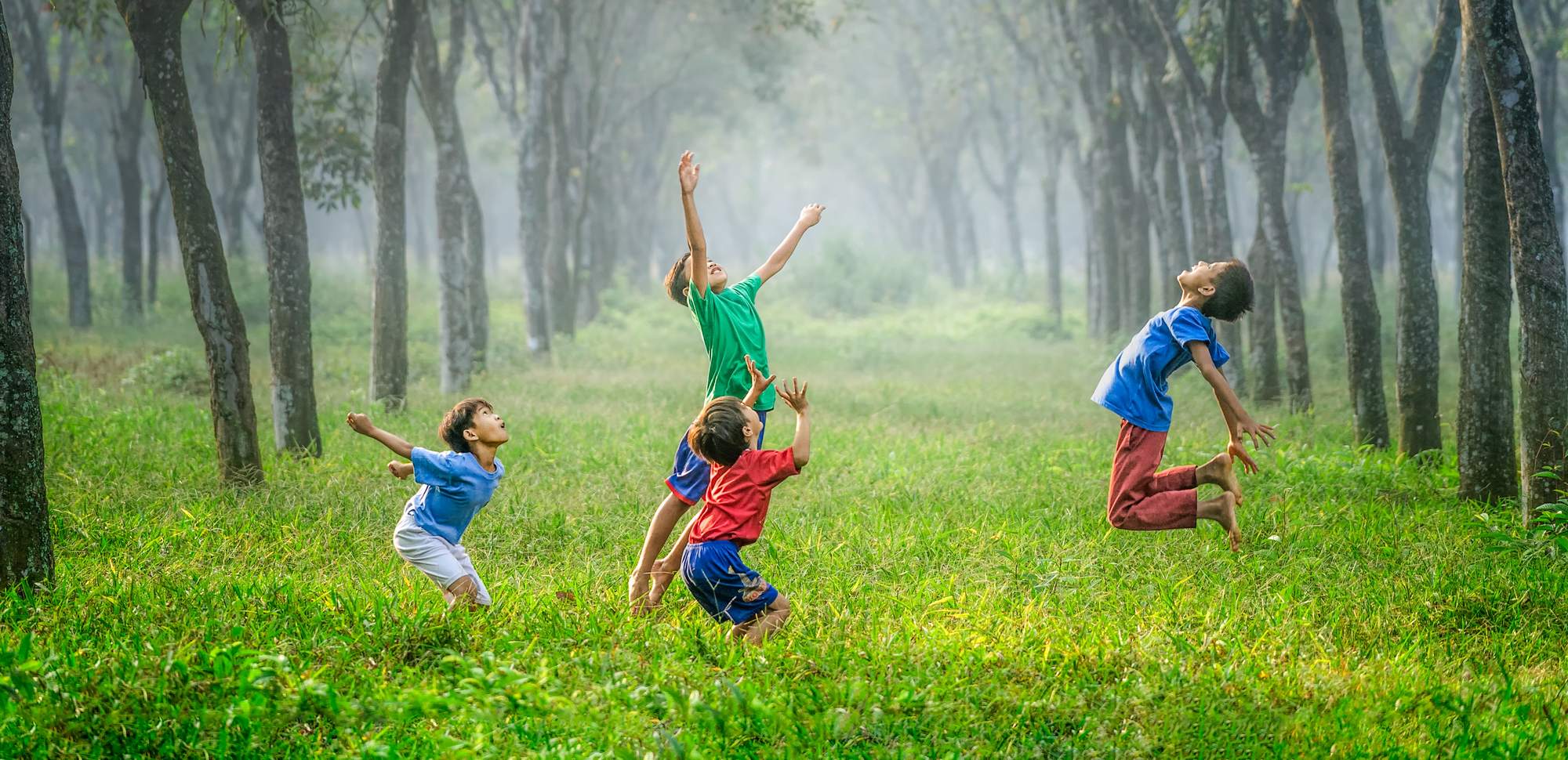 Photo by Robert Collins on Unsplash